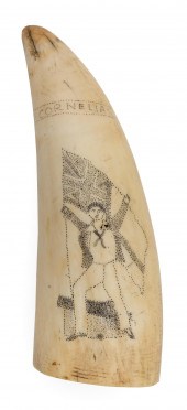 PINPOINT SCRIMSHAW WHALE'S TOO