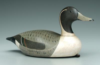 Pintail drake decoy, attributed