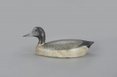 PINTAIL DRAKECharles Reeves (1