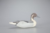 PINTAIL DRAKEJ. Eugene Hendric