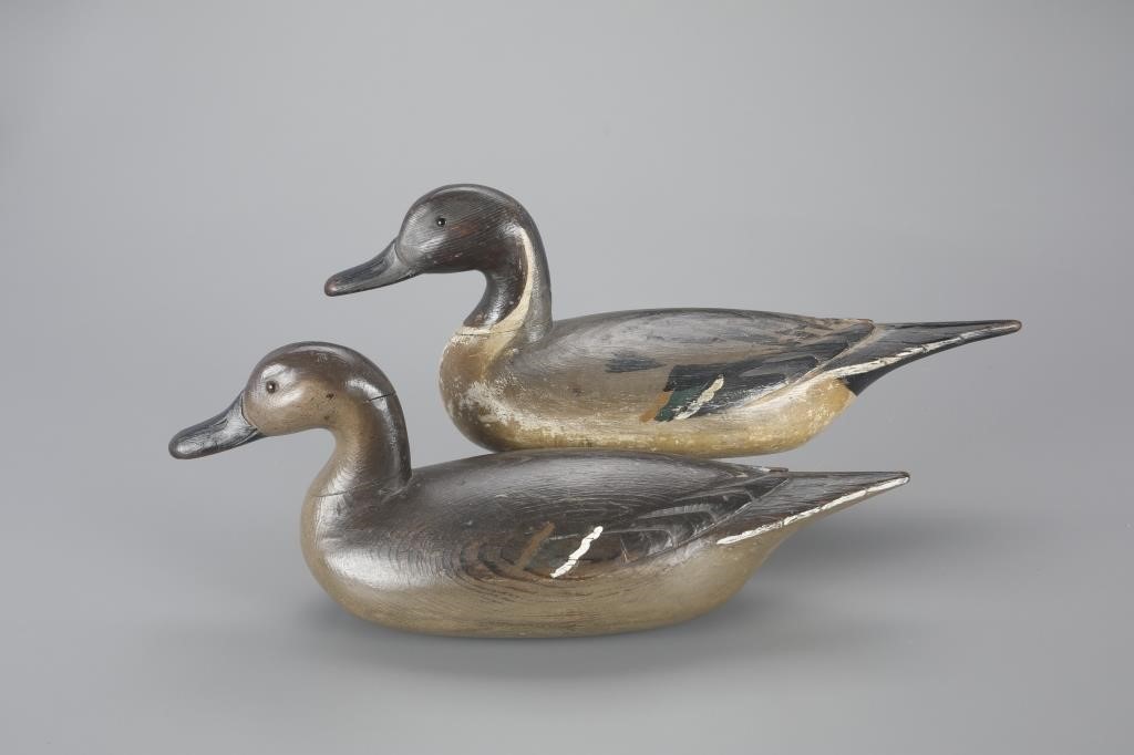 PINTAIL PAIR"Fresh Air Dick" Janson