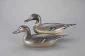 PINTAIL PAIR"Fresh Air Dick" J
