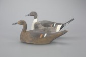 PINTAIL PAIRJohn B. Winter (19