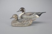 PINTAIL PAIRLuigi Andreuccetti