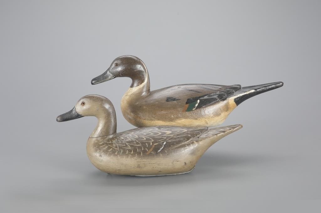 PINTAIL PAIRRichard "Fresh Air