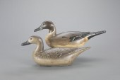 PINTAIL PAIRRichard "Fresh Air