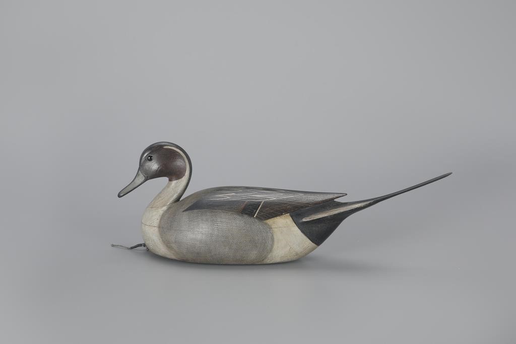 PINTAILMark S. McNair (b. 1950)