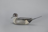 PINTAILMark S. McNair (b. 1950