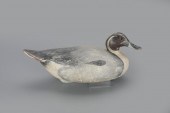 PINTAILThe Ward Brothers
Lemue