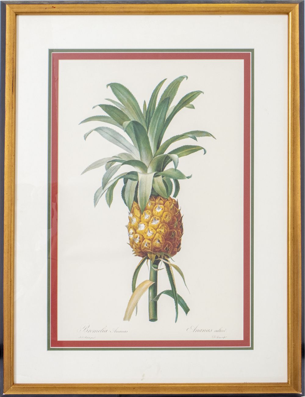 P.J. REDOUTE "ANANAS" OFFSET