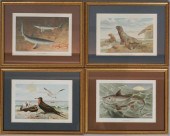 P.J. SMIT FOUR COLOR PRINTS OF