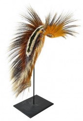 PLAINS HAIR ROACHlate 19th/ear