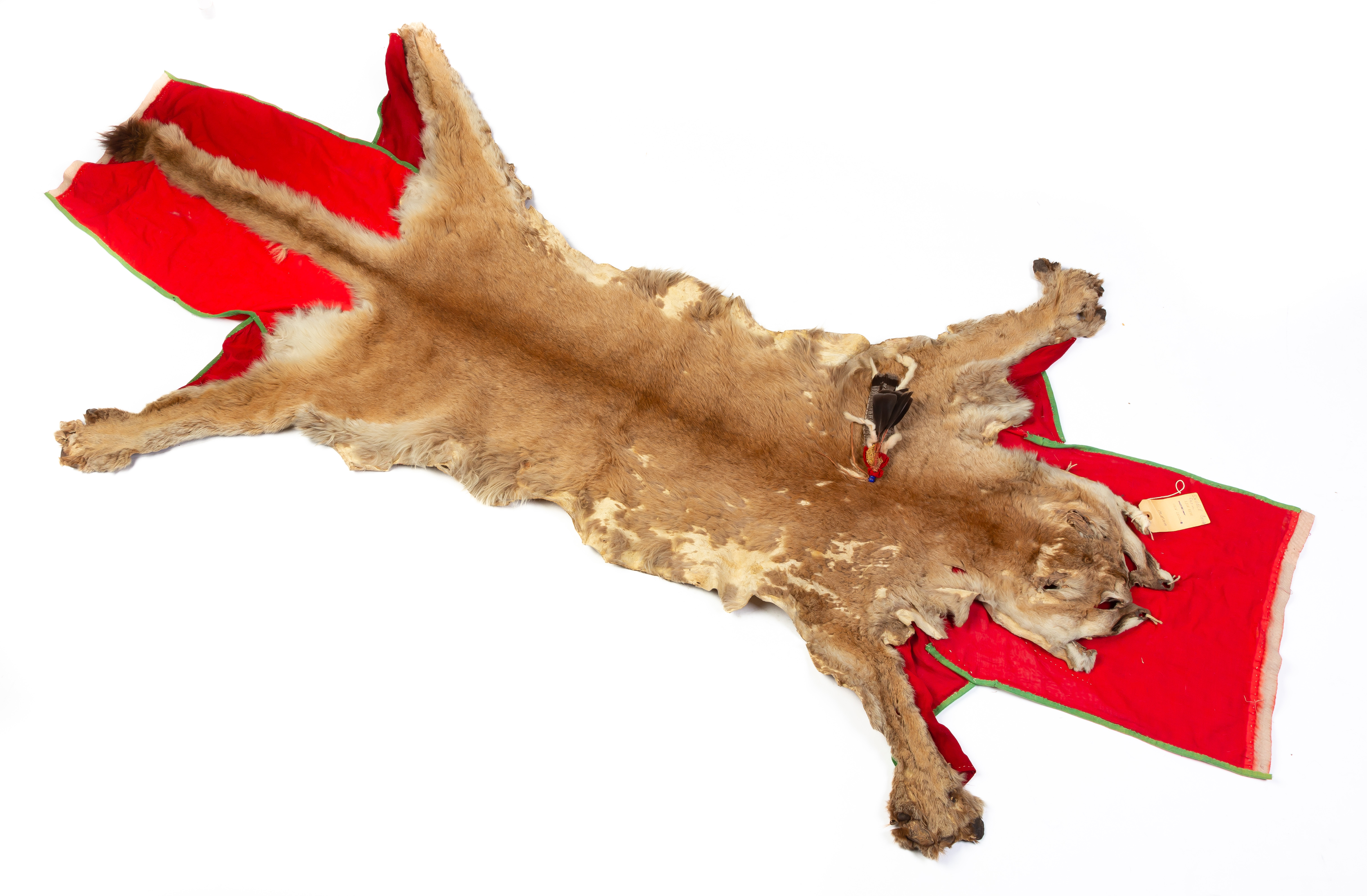 PLATEAU CROW MOUNTAIN LION SADDLE