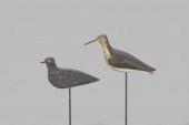 PLOVER AND YELLOWLEGSMassachus