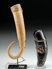 PNG PENIS GOURD + THAI PALAD K