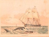 "POCAHONTAS" SHIP AFTER LUCIUS