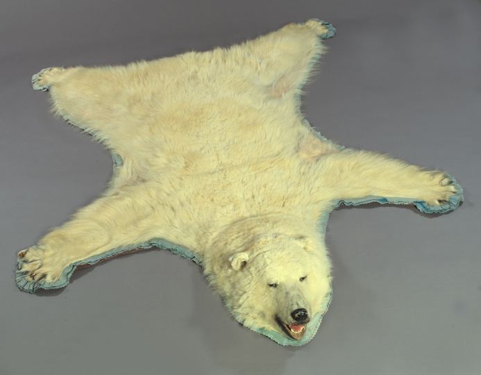 Polar Bear Rug,  86" x 108".
