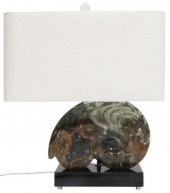 POLISHED AMMONITE FOSSIL TABLE