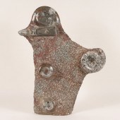 Polished ammonite seabed fossi