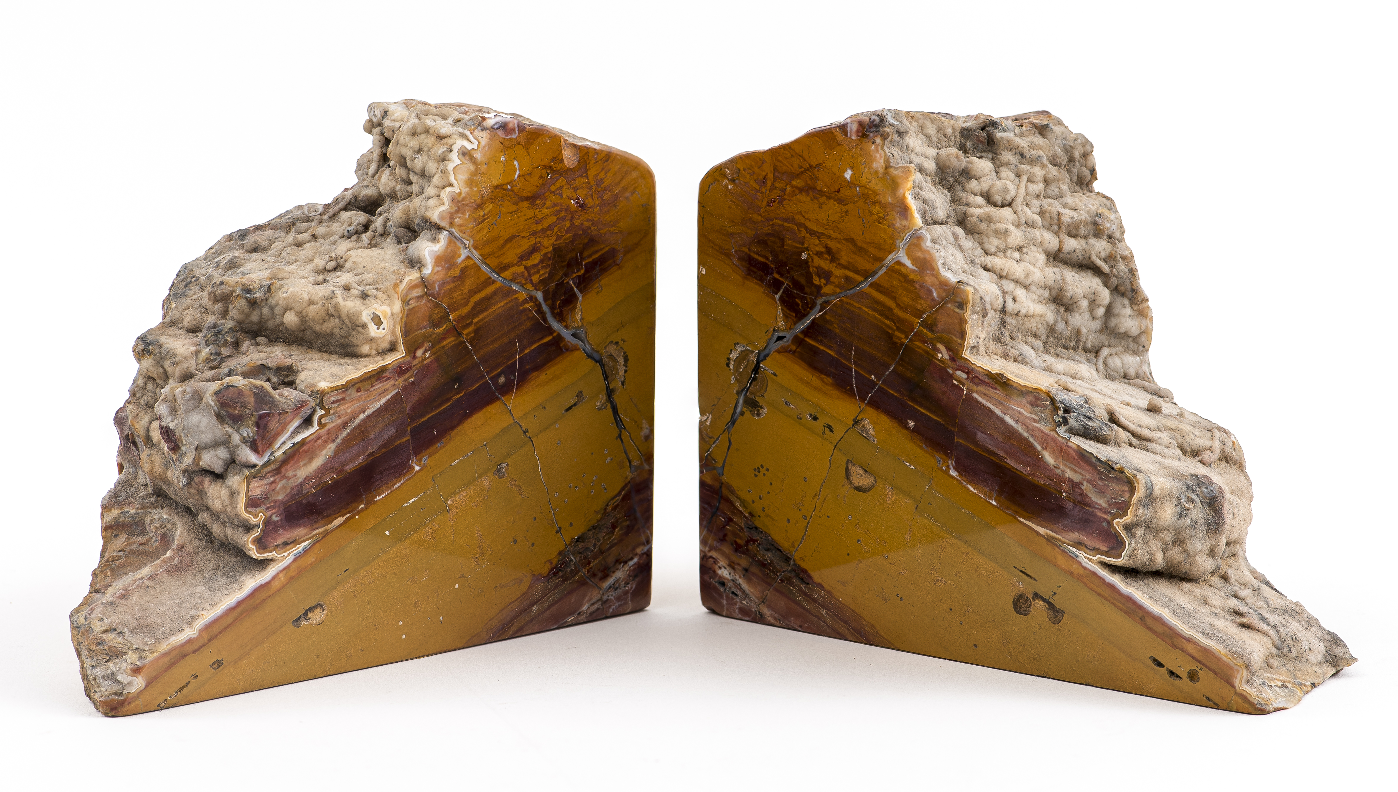 POLISHED PETRIFIED WOOD BOOKENDS,