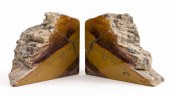 POLISHED PETRIFIED WOOD BOOKEN