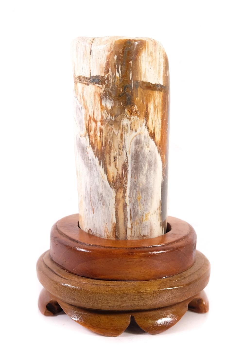 POLISHED PETRIFIED WOOD SCULPTURE