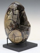 POLISHED SEPTARIAN GEODE DRAGO