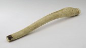 POLISHED WALRUS OOSIK PENILE B