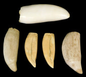 POLISHED WHALE TOOTH, BONE, AN