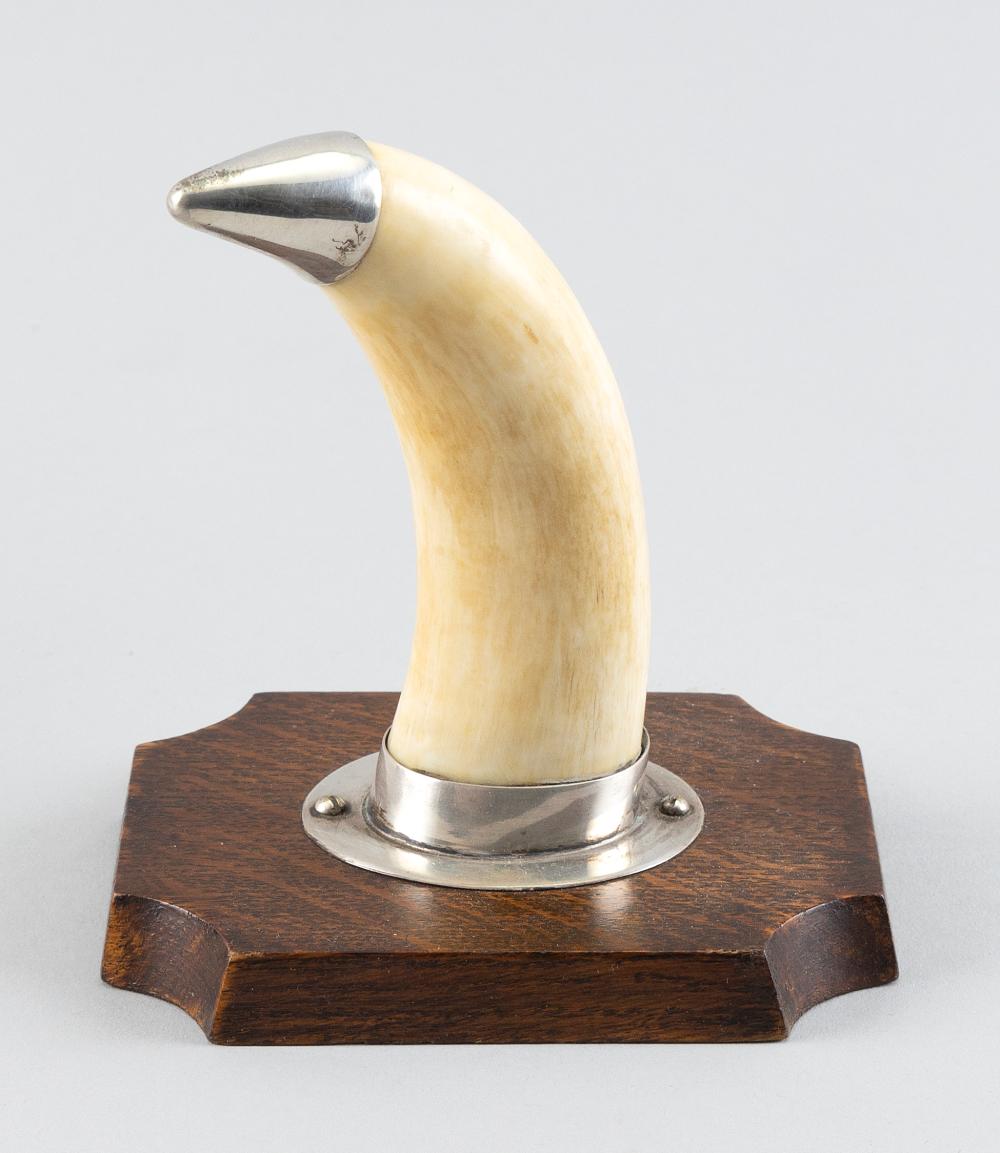 * POLISHED WHALE'S TOOTH WITH