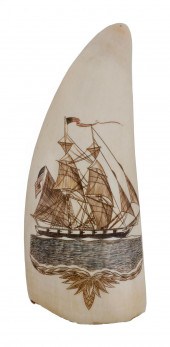 * POLYCHROME ENGRAVED WHALE'S