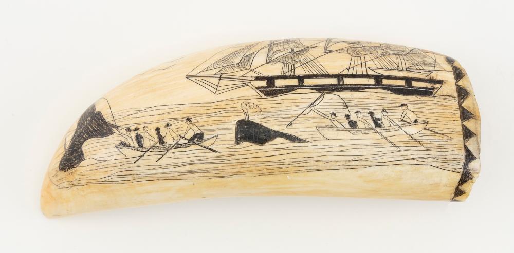 * POLYCHROME ENGRAVED WHALE'S TOOTH