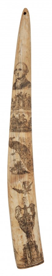 POLYCHROME SCRIMSHAW WALRUS TU