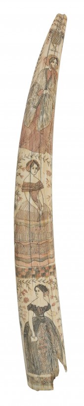 POLYCHROME SCRIMSHAW WALRUS TU