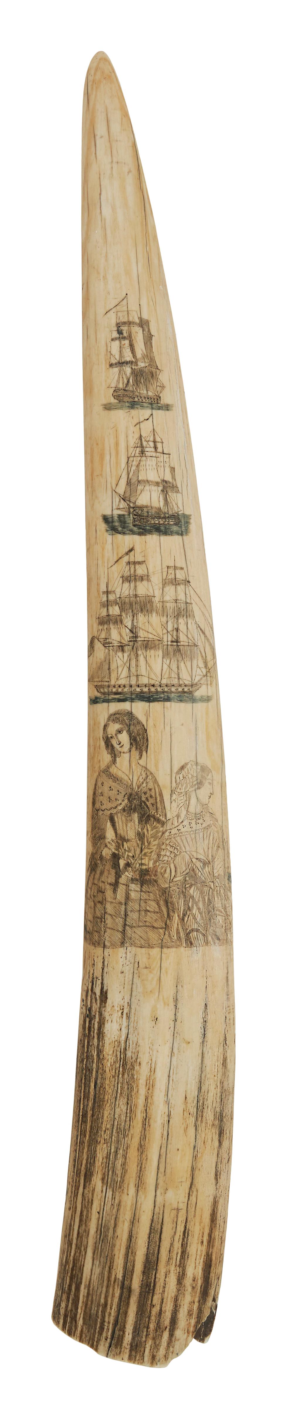 POLYCHROME SCRIMSHAW WALRUS TUSK