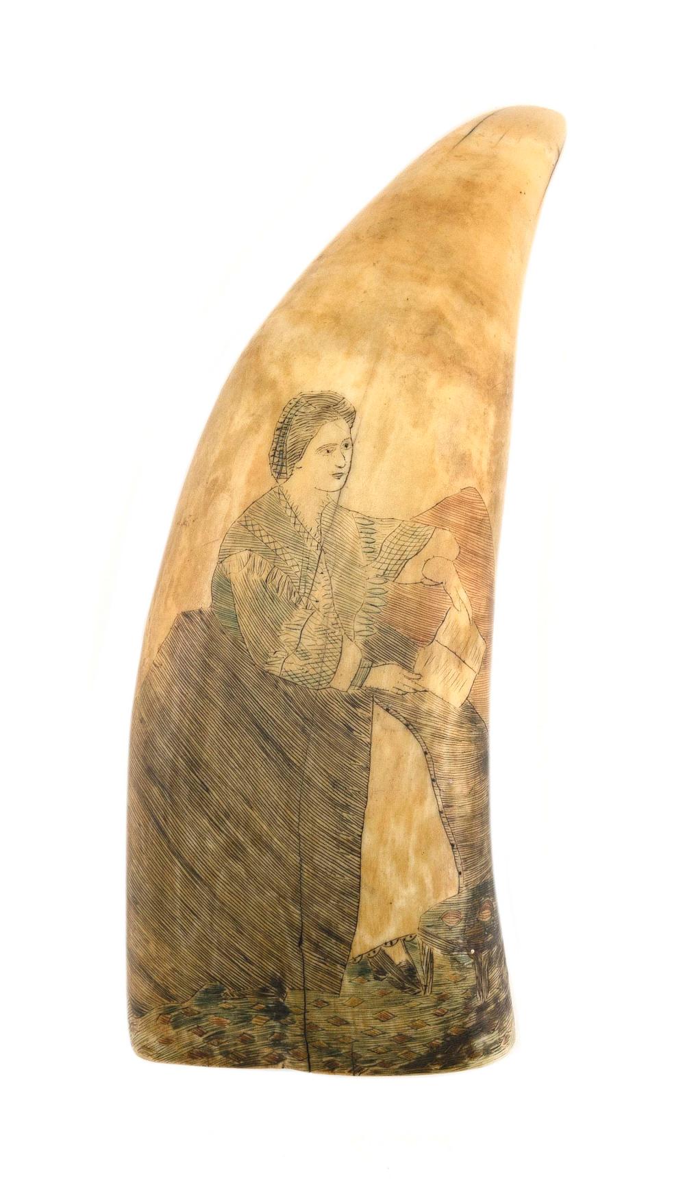 POLYCHROME SCRIMSHAW WHALE'S