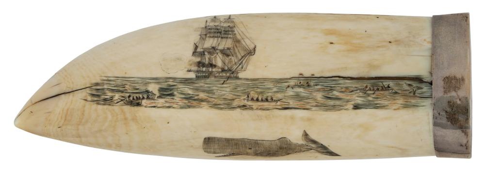 POLYCHROME SCRIMSHAW WHALE'S