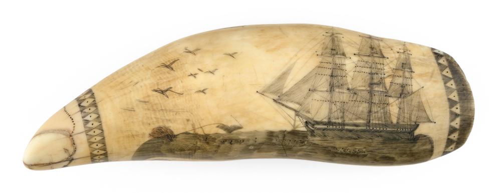 POLYCHROME SCRIMSHAW WHALE'S