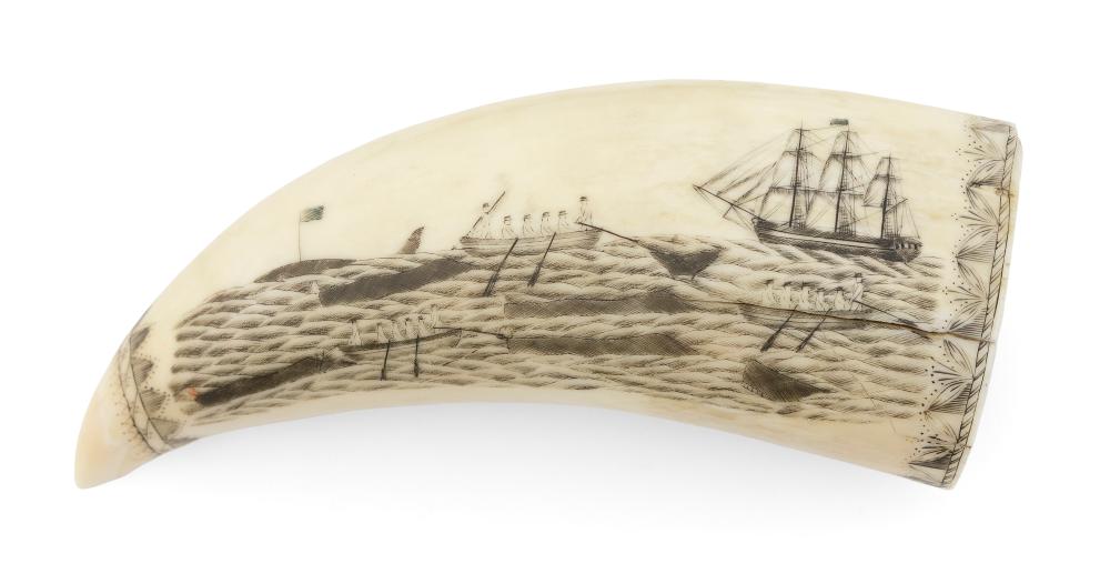 POLYCHROME SCRIMSHAW WHALE'S