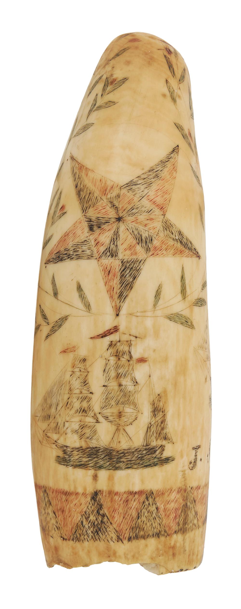 POLYCHROME SCRIMSHAW WHALE'S