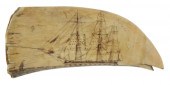 POLYCHROME SCRIMSHAW WHALE'S T