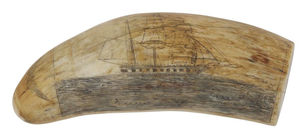 POLYCHROME SCRIMSHAW WHALE'S
