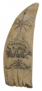 POLYCHROME SCRIMSHAW WHALE'S T