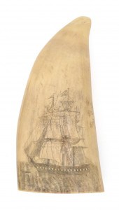 POLYCHROME SCRIMSHAW WHALE'S T