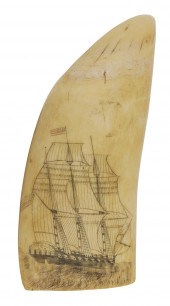 POLYCHROME SCRIMSHAW WHALE’S T
