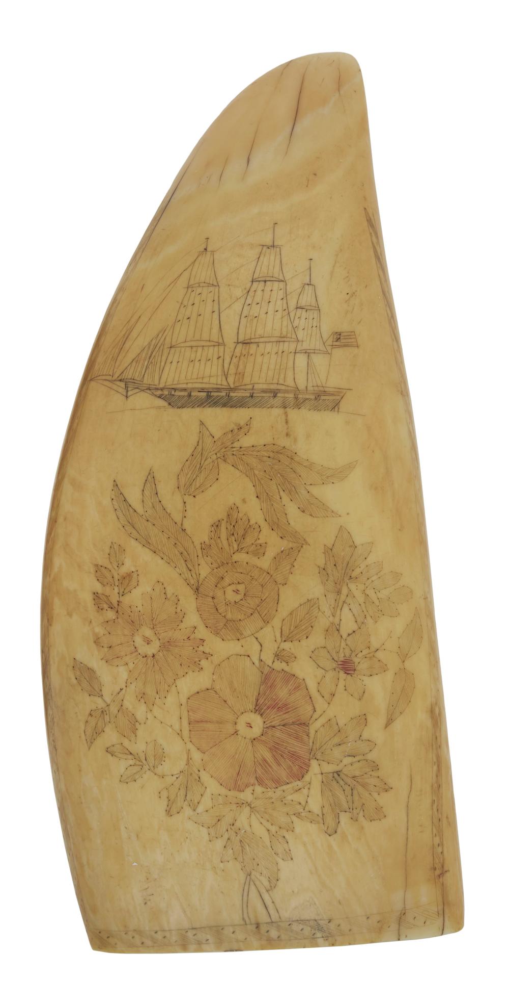 POLYCHROME SCRIMSHAW WHALE'S
