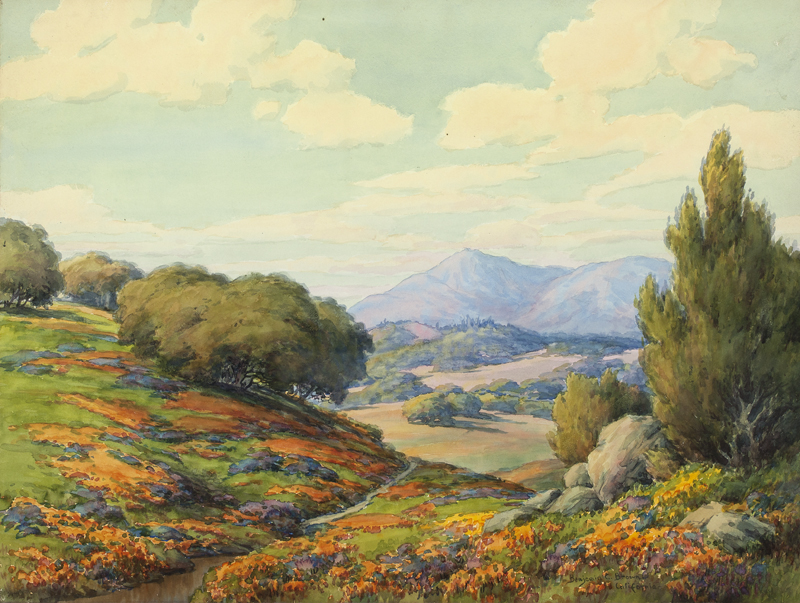 Poppies and lupine in a