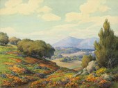 Poppies and lupine in a Califo