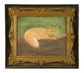 PORTRAIT OF A CAT (AMERICAN  2