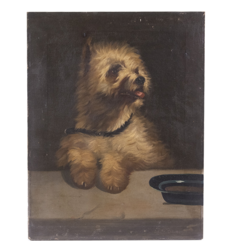 PORTRAIT OF A DOG A White Terrier